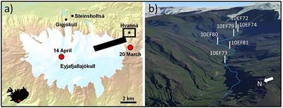 Using Mg Isotopes to Estimate Natural Calcite Compositions and Precipitation Rates During the 2010 Eyjafjallajökull Eruption